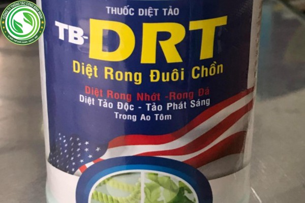 Cách tẩy rong rêu trên nền xi măng dùng thuốc chuyên dụng